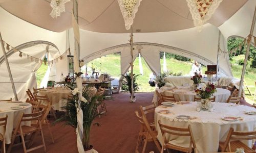 trapeze-interior-bunting