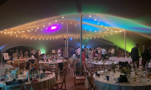 Arachnid / Wedding