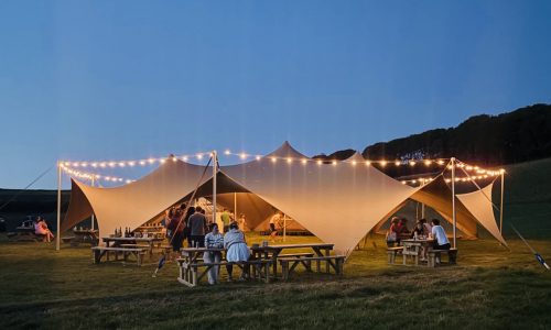 Arachnid Exterior Festoon Lights