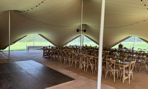 Arachnid_Dance Floor + Rustics